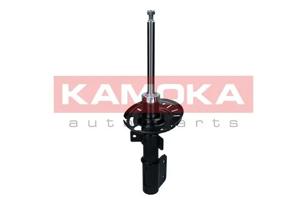 Shock Absorber 2000325