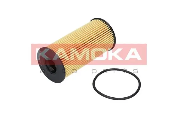 Oil Filter F106201