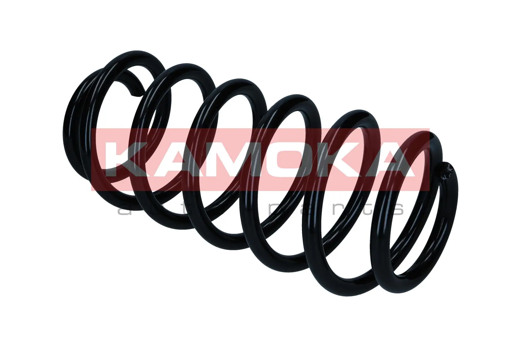 Suspension Spring 2120599