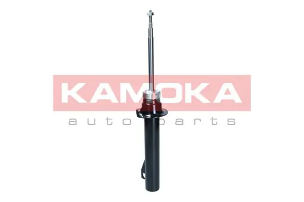 Shock Absorber 2000653