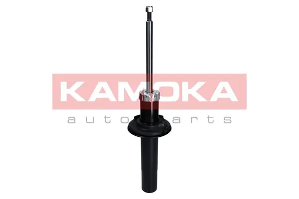 Shock Absorber 2000648