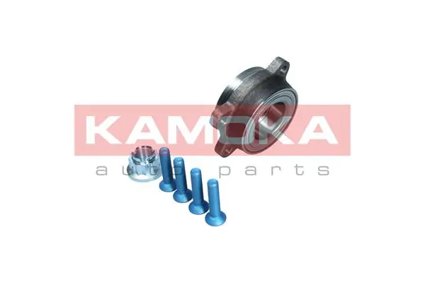 Wheel Bearing Kit 5500383