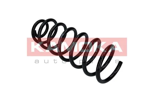 Suspension Spring 2120297