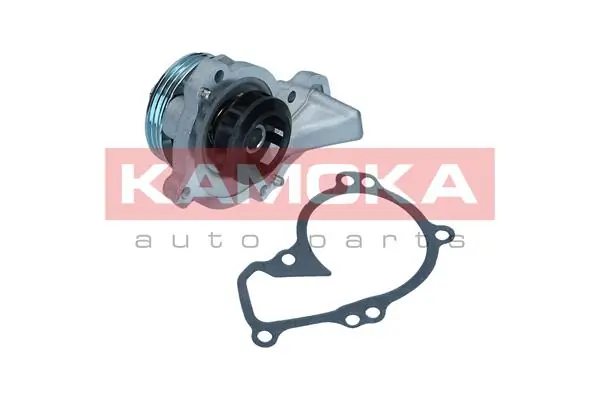 Water Pump, engine cooling T0296