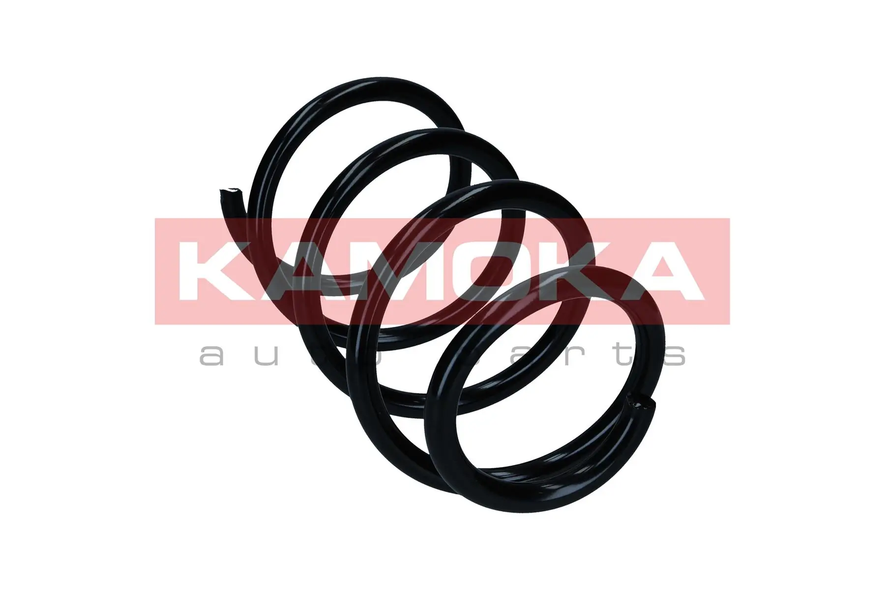 Suspension Spring 2110655