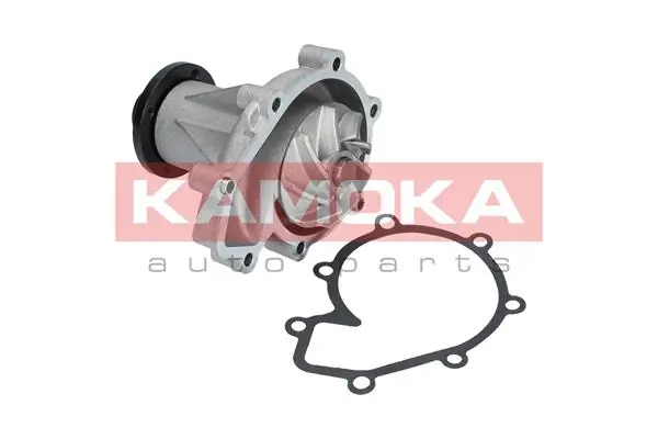 Water Pump, engine cooling T0185