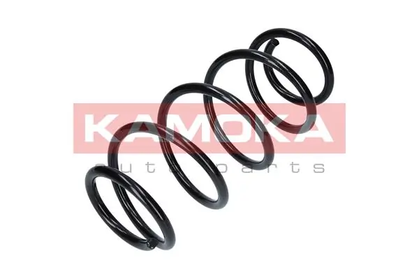 Suspension Spring 2110173