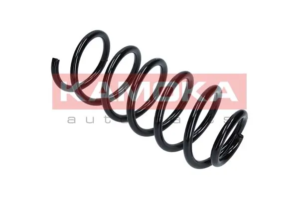 Suspension Spring 2120283