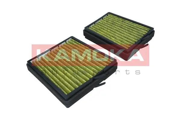 Filter, cabin air 6080046