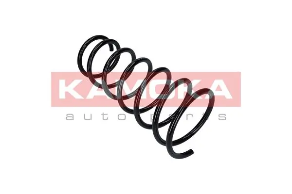 Suspension Spring 2120034