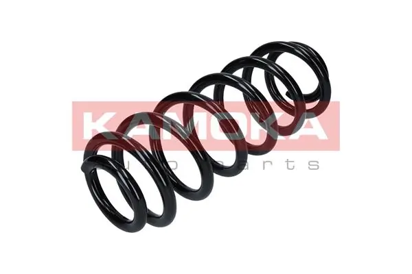 Suspension Spring 2120223