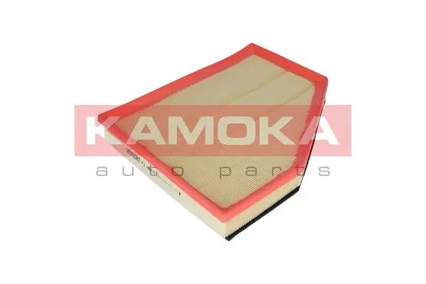 Air Filter F224501