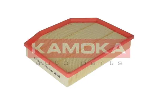 Air Filter F218601