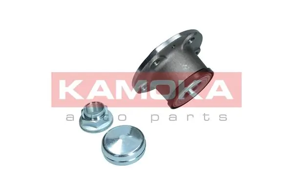 KAMOKA 5500216 Wheel Bearing Kit