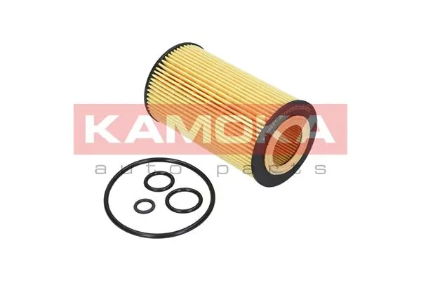 Oil Filter F108001