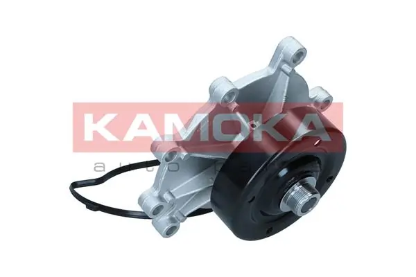 Water Pump, engine cooling T0309