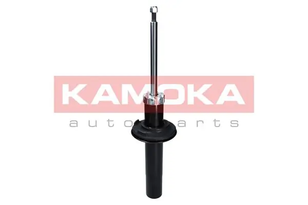 Shock Absorber 2000649