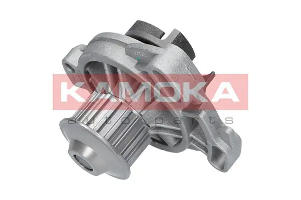 Water Pump, engine cooling T0275