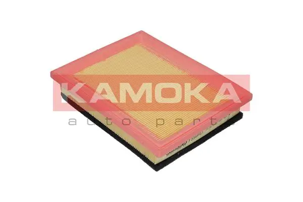 Air Filter F234801