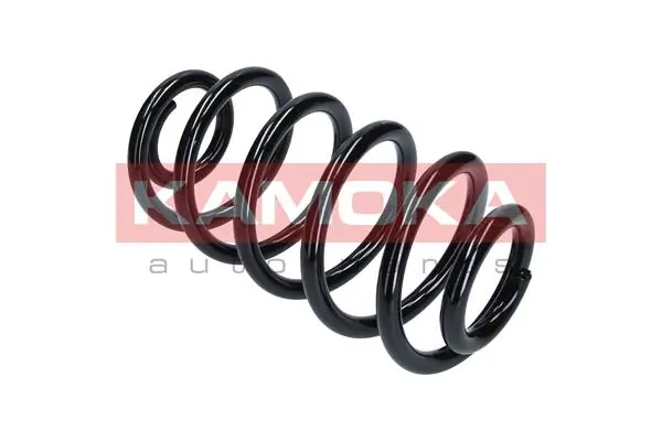 Suspension Spring 2120166