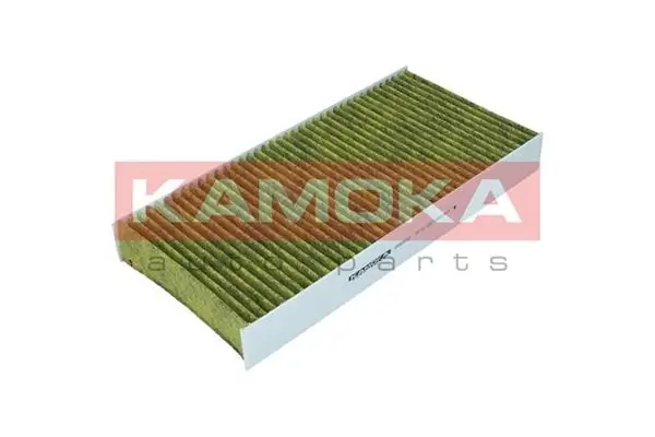 Filter, cabin air 6080032
