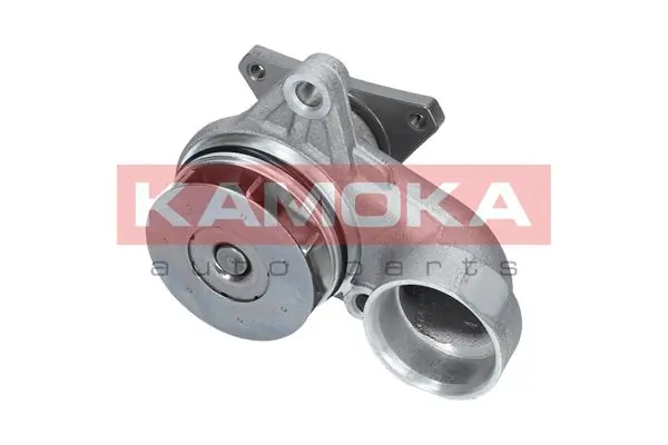 Water Pump, engine cooling T0157