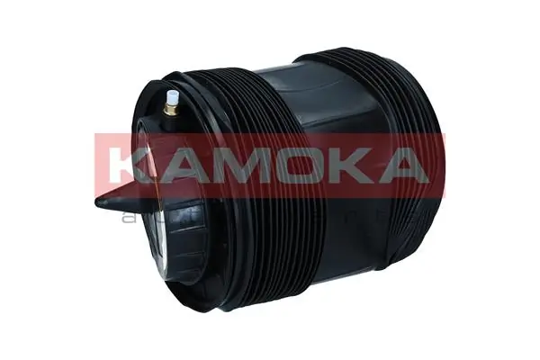 Air Spring, suspension 2079071