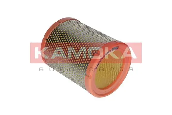 Air Filter F213701