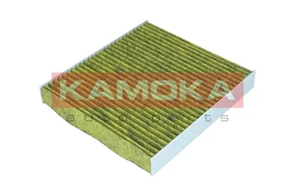 Filter, cabin air 6080079
