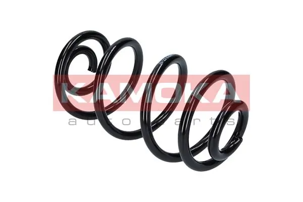 Suspension Spring 2120074