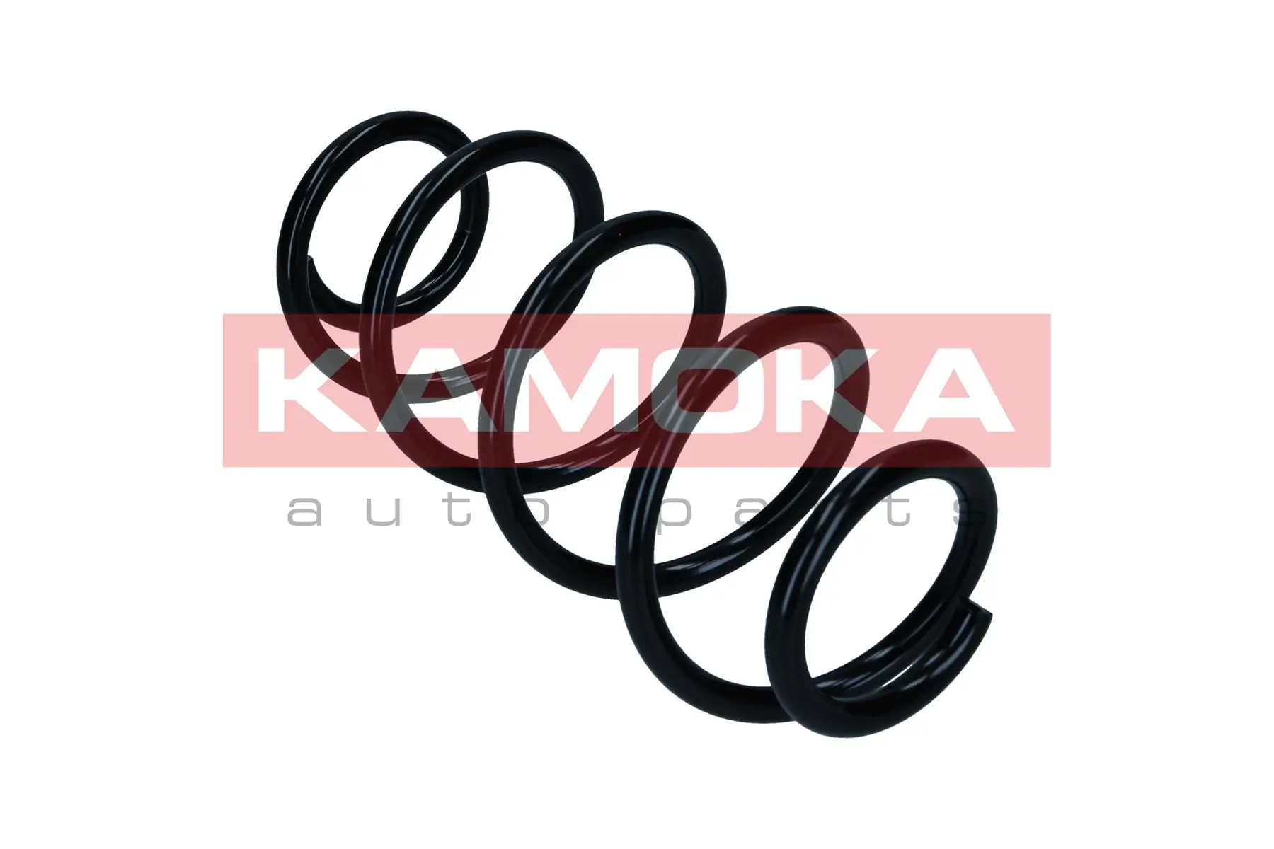 Suspension Spring 2120651