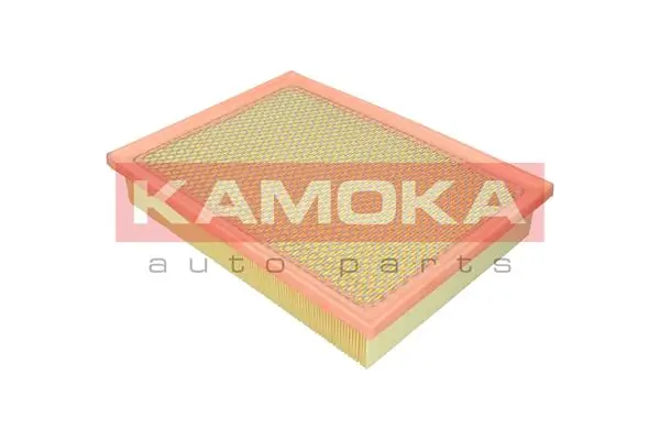 Air Filter F258801