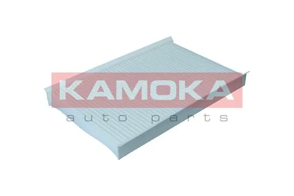 Filter, cabin air F428601