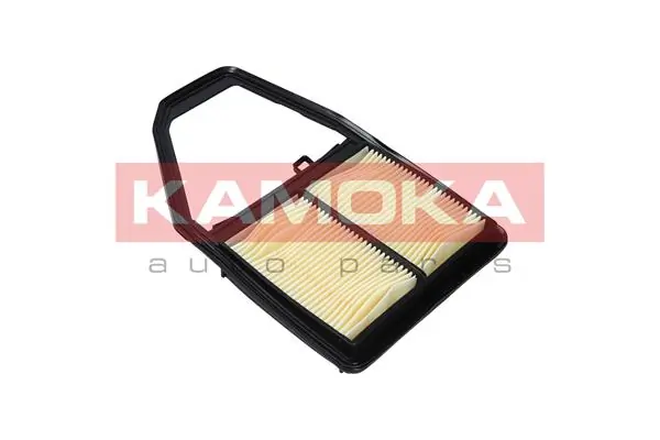 Air Filter F225701