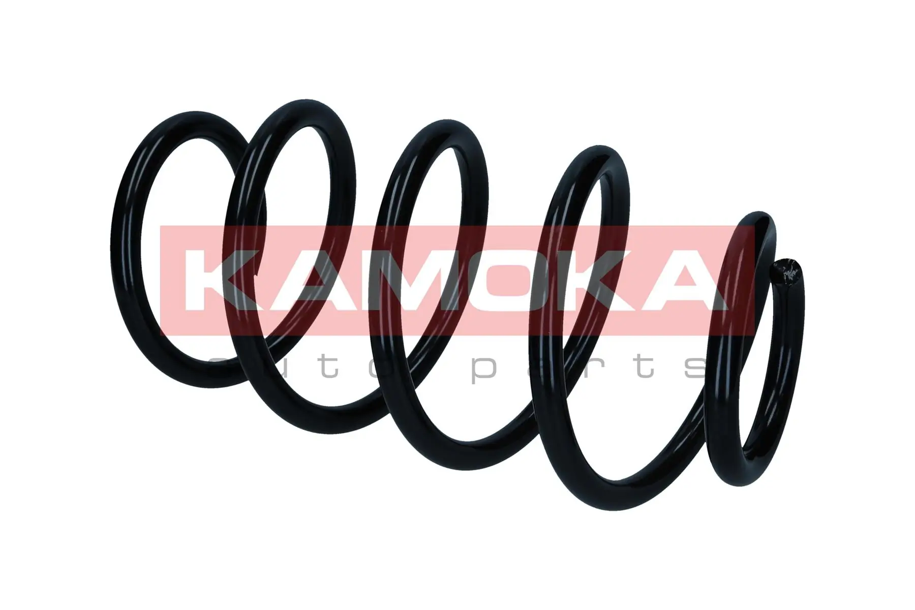 Suspension Spring 2110826