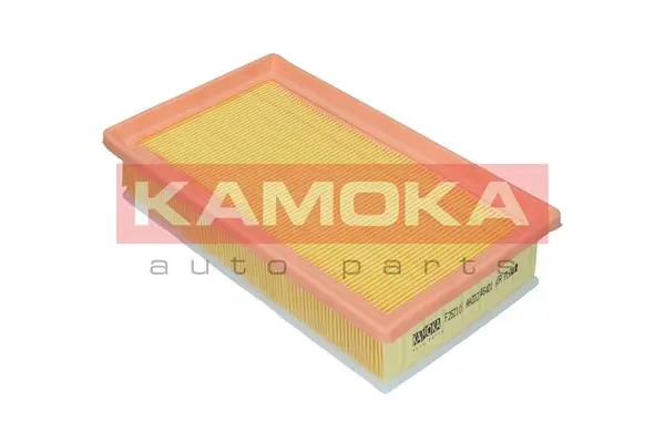 Air Filter F252101