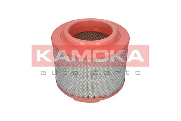 Air Filter F236201