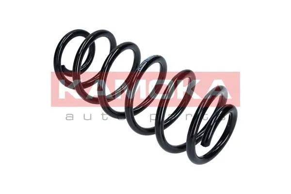 Suspension Spring 2120270