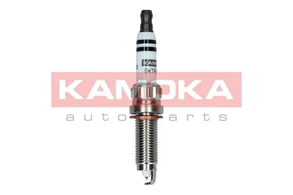 Spark Plug 7100063