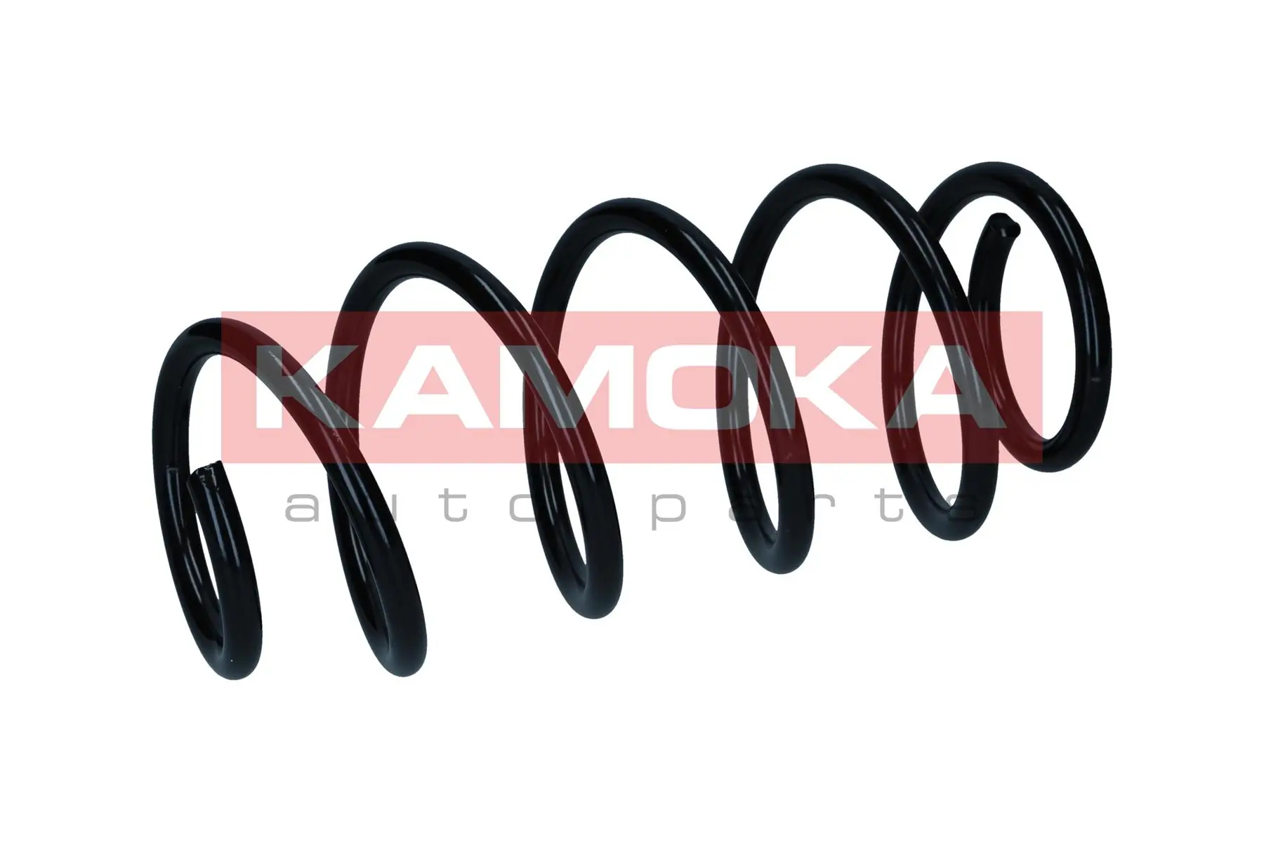 Suspension Spring 2110837