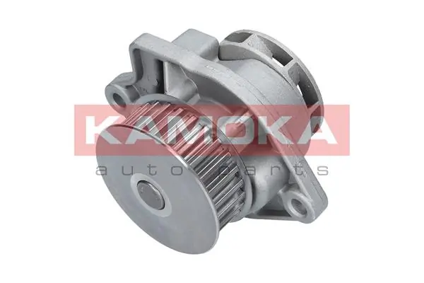 Water Pump, engine cooling T0248