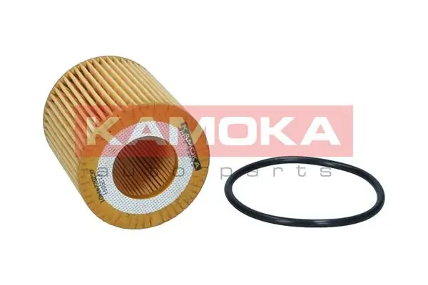 Oil Filter F125001