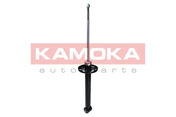 Shock Absorber 2000979