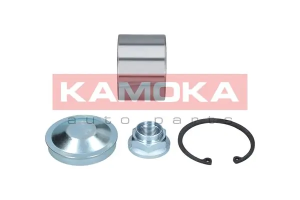 Wheel Bearing Kit 5600028