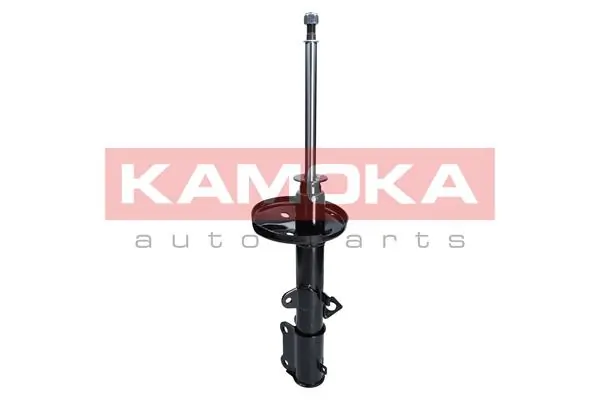 Shock Absorber 2000299
