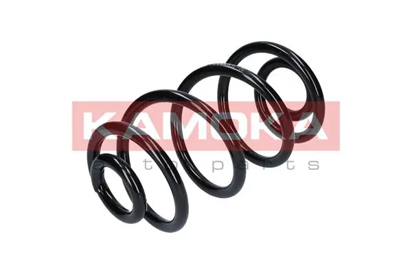 Suspension Spring 2120074