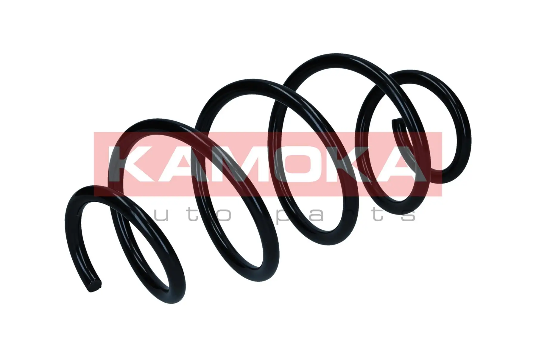 Suspension Spring 2110509