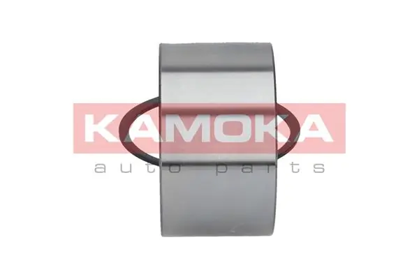 Wheel Bearing Kit 5600043