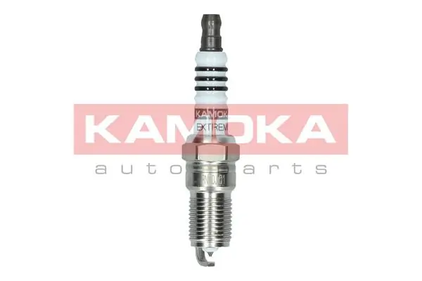 Spark Plug 7090016