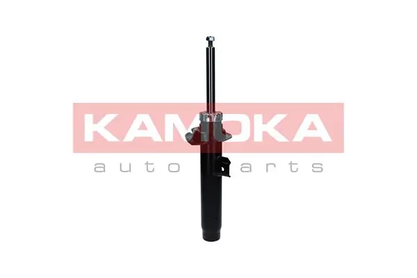 Shock Absorber 2000342